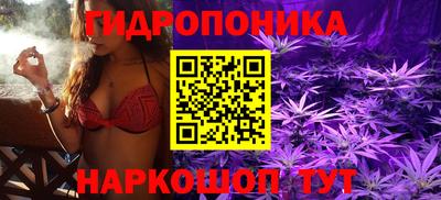 дмт Заволжье