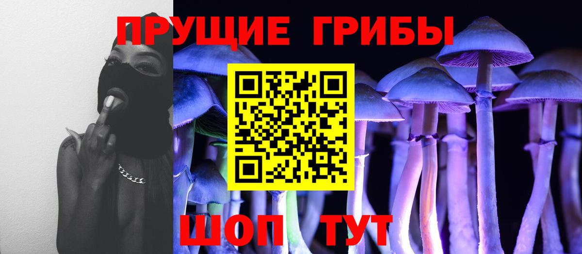 Псилоцибиновые грибы Psilocybine cubensis Лысьва